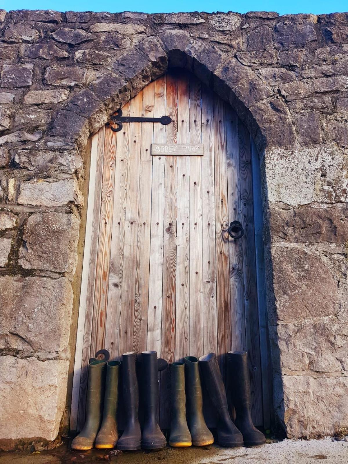 Abbey Farm Luxury Glamping Hotel Rhuddlan Exterior foto